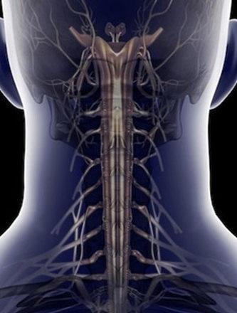 两句话治好颈椎病!(1) 两句话治好颈椎病!(1)