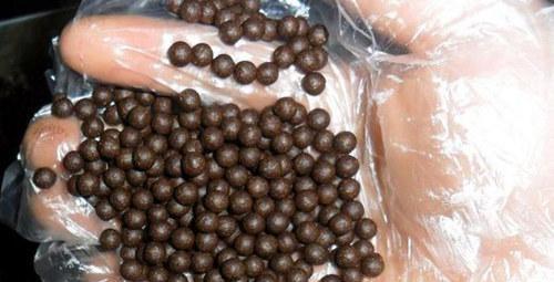 补脾健肾丸的主要成分